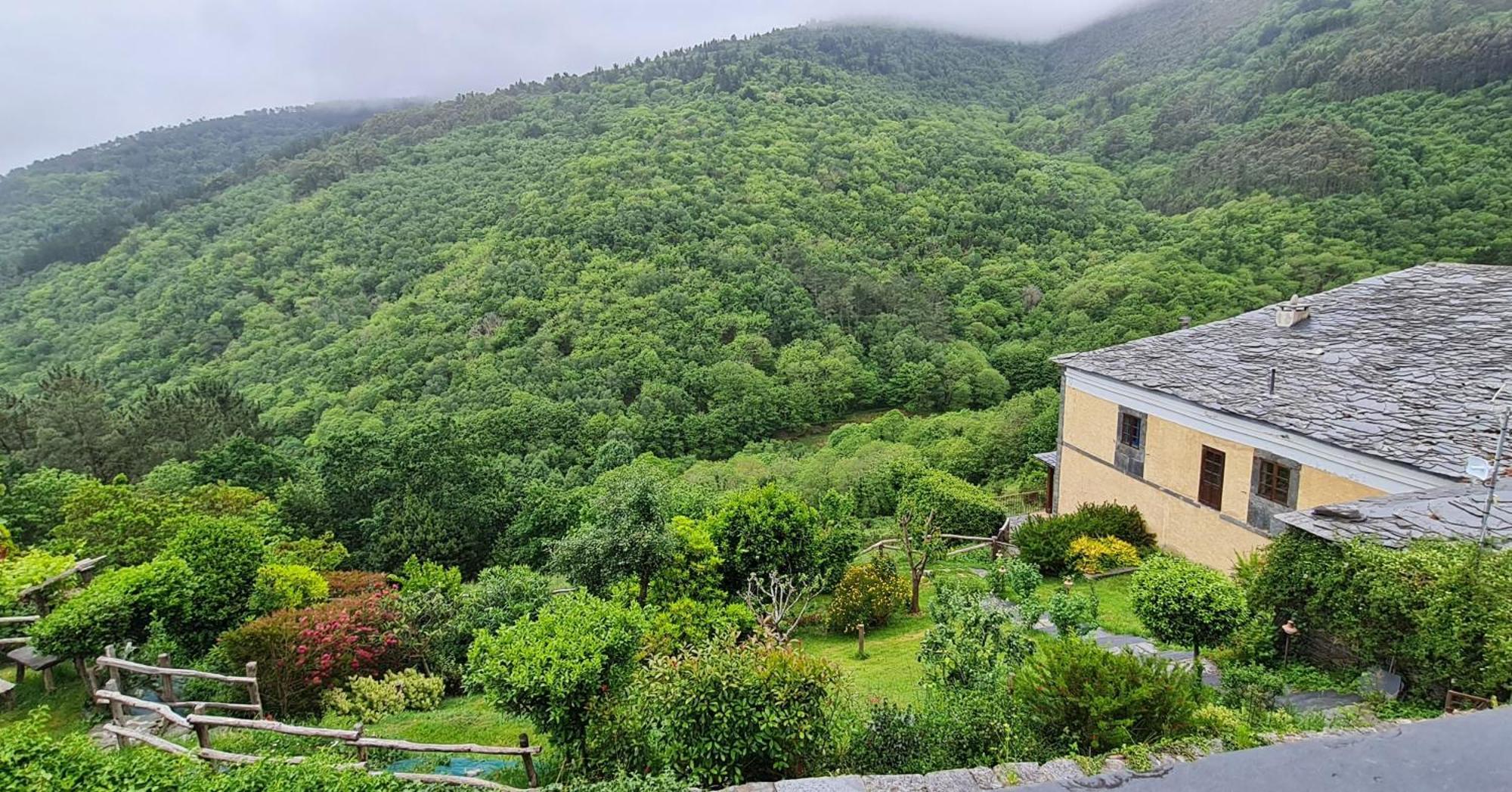 Apartamentos Rurales El Bosque de las Viñas Boal Exterior foto